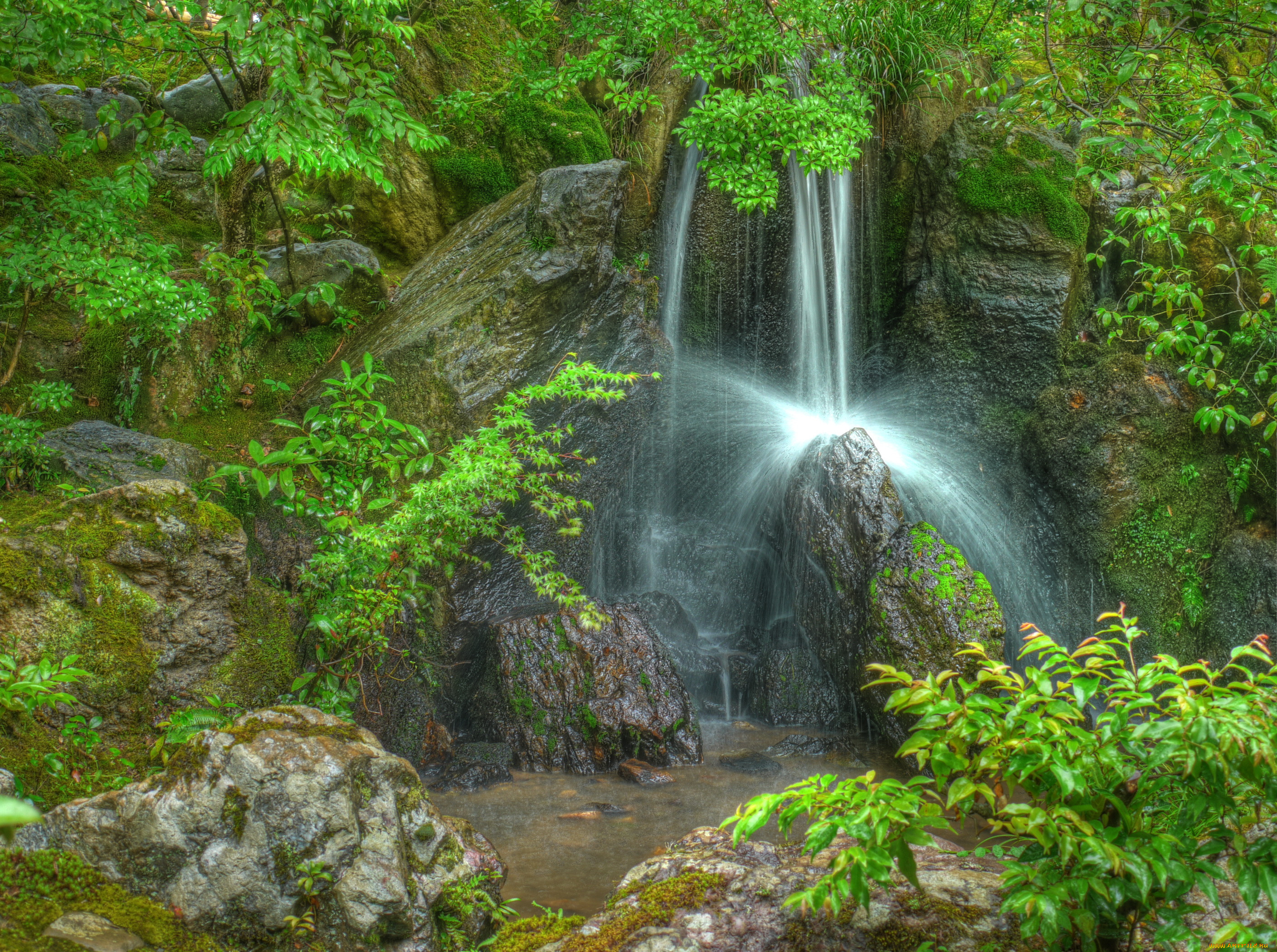 kyoto, ginkaku, garden, , , , , 